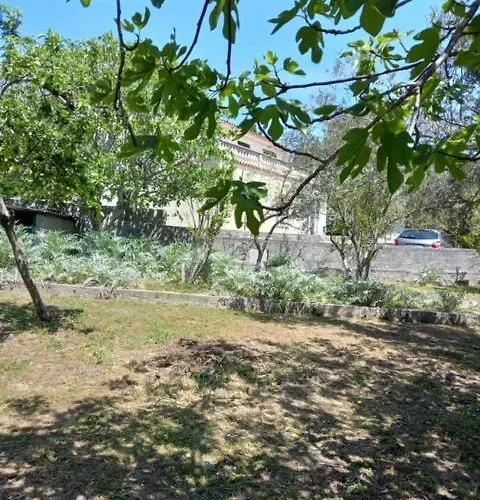 House - Meri Ždrelac